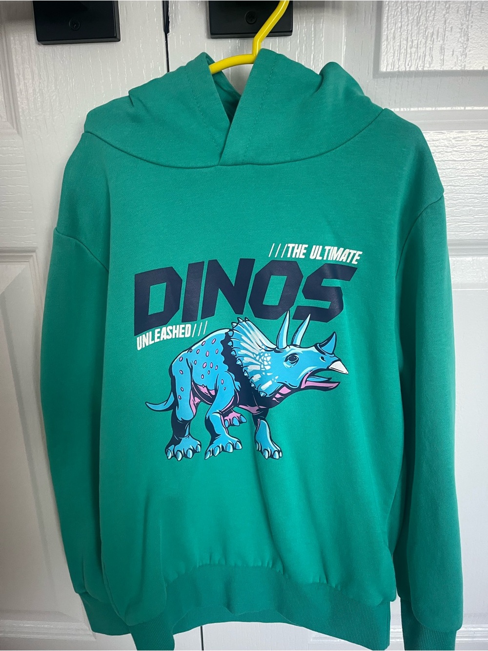 Kids Teal 'Dinos' Graphic Pullover Hoodie